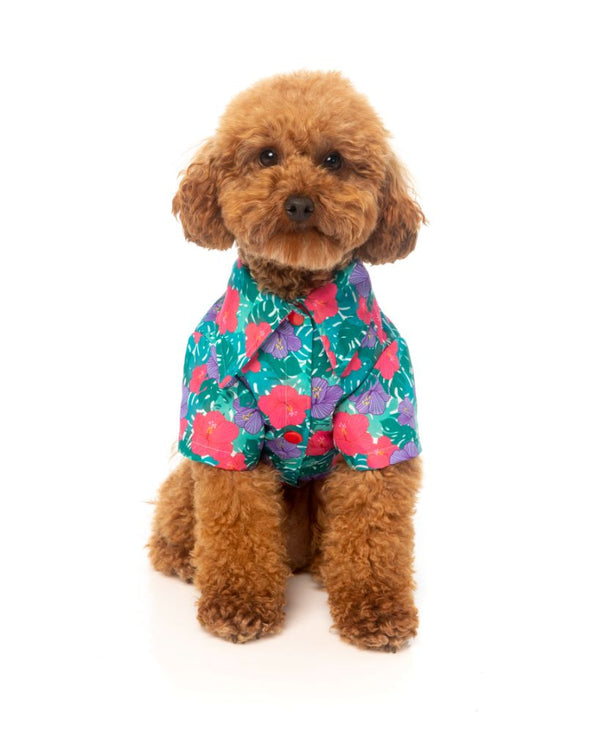 Dog Shirt - Lahania