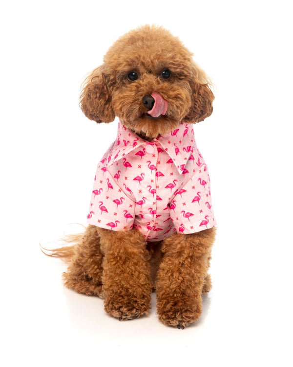 Dog Shirt - Fabboyant