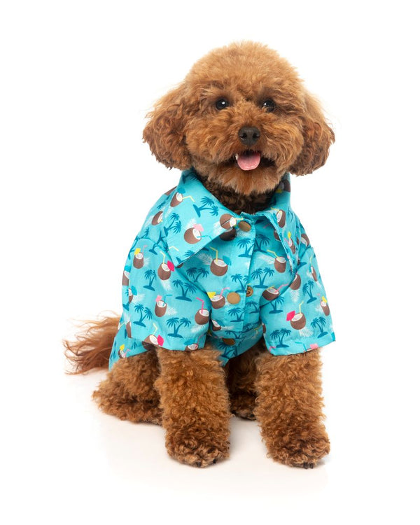 Dog Shirt - Blue Oasis