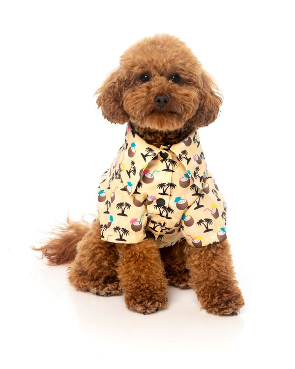 Dog Shirt - Sandy Coconut