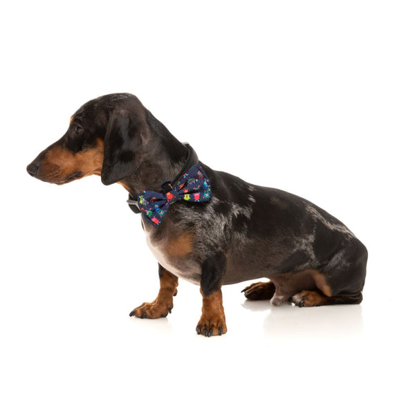 Yardsters Pet Bowtie