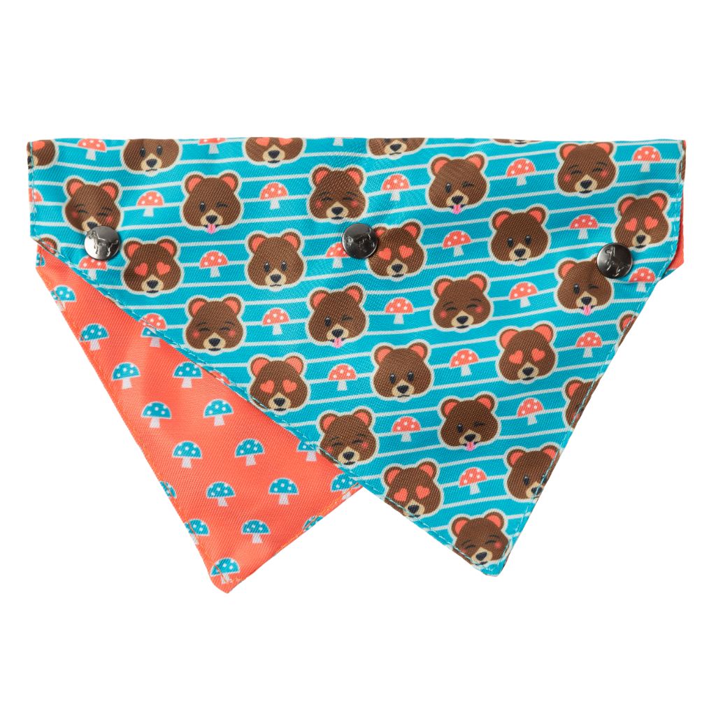 Best In Show Pet Bandana