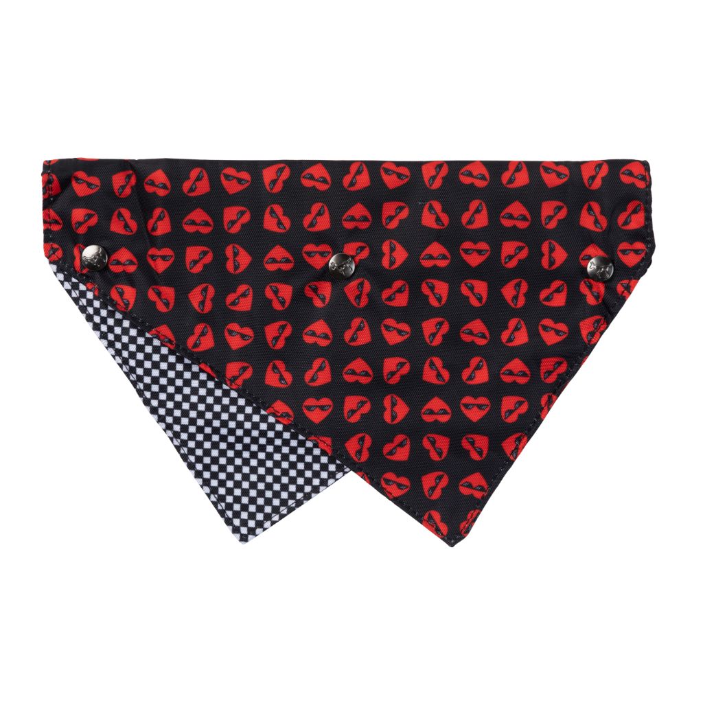Best In Show Pet Bandana