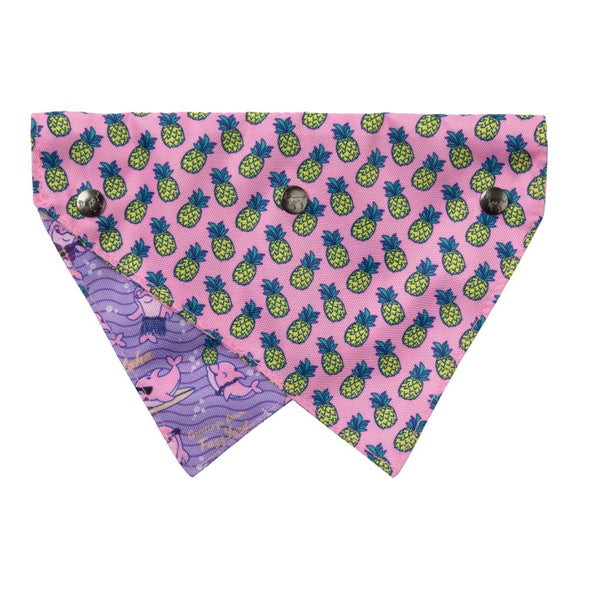 Best In Show Pet Bandana