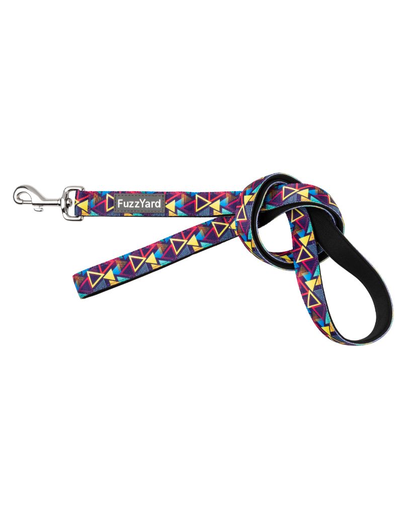 Prism - Dog Leash