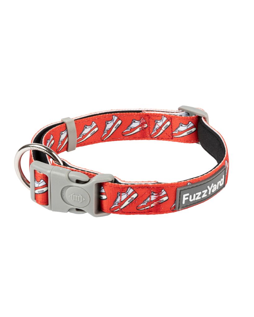 Fresh Kicks - Collar para perros