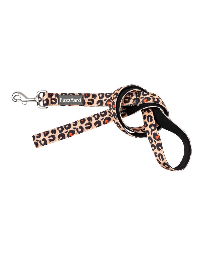 Dog Lead Javan