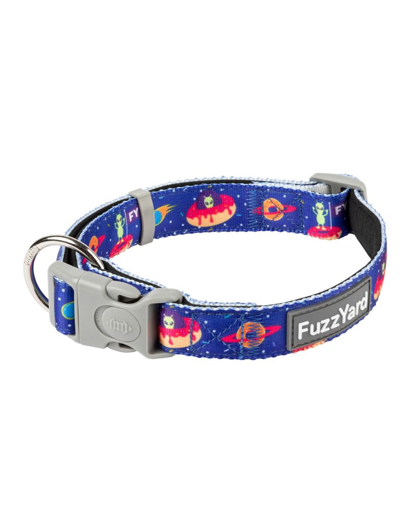Extradonutstrial - Collar para perros