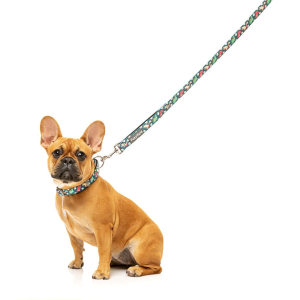 Dinosaur Land - Dog Leash