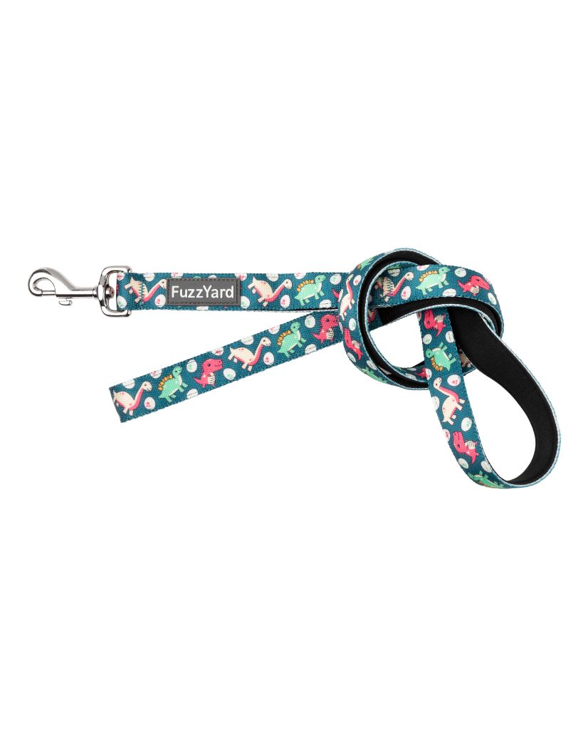 Dinosaur Land - Dog Leash