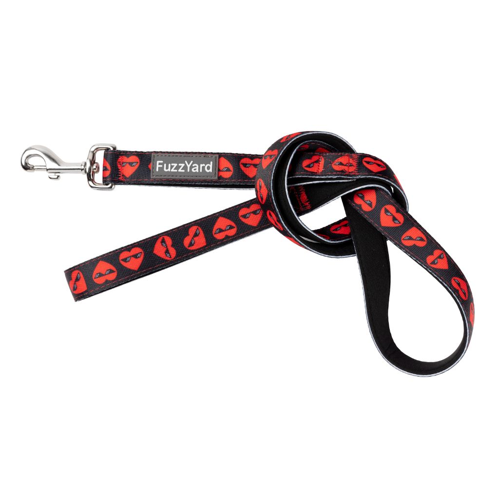 Heartbreaker - Dog Leash
