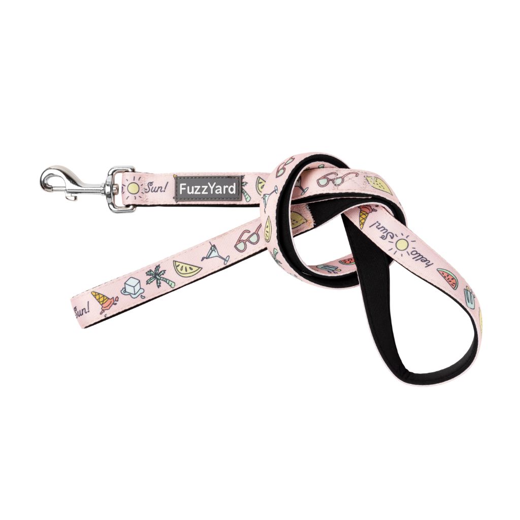 Hello Sun - Dog Leash