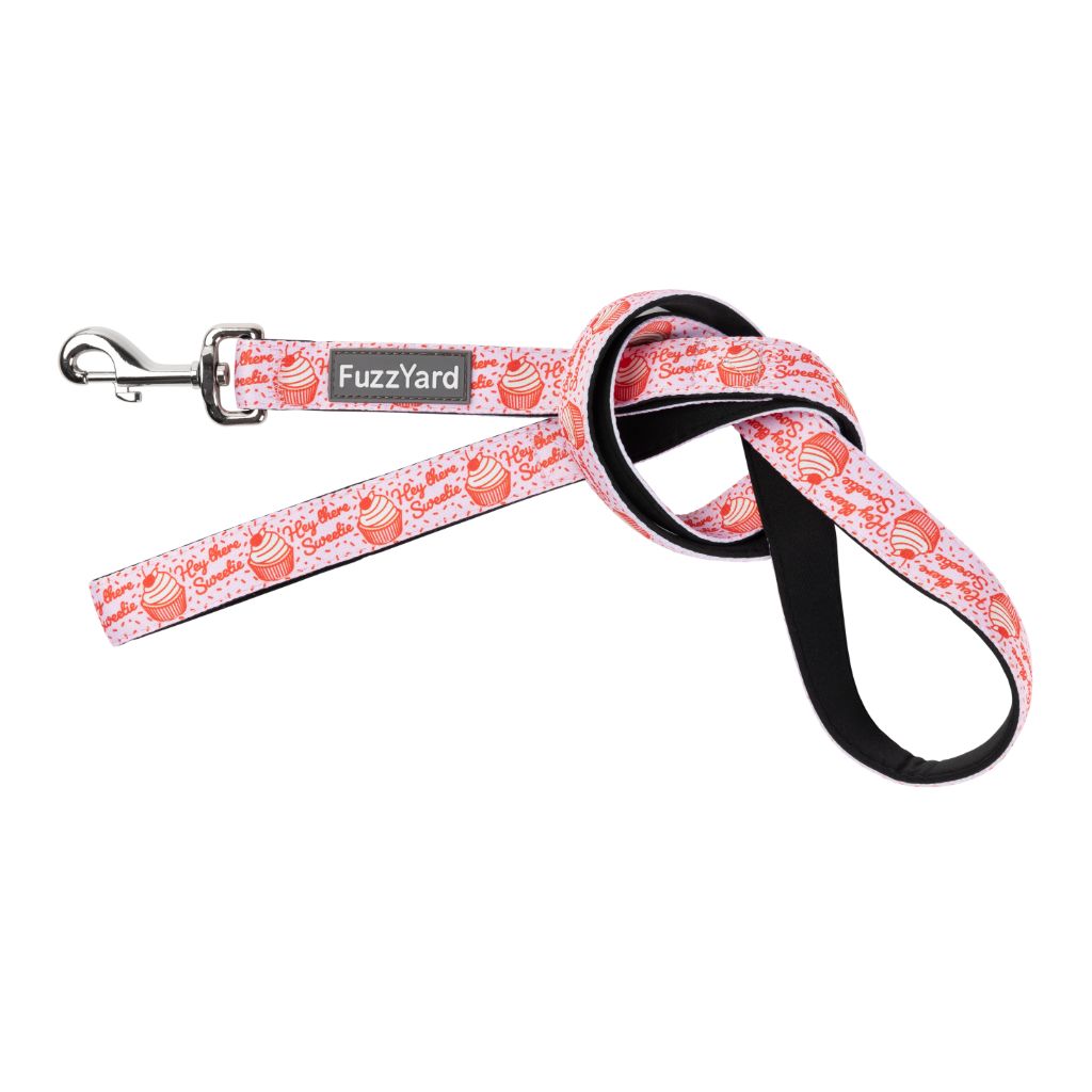 Hey There Sweetie - Dog Leash