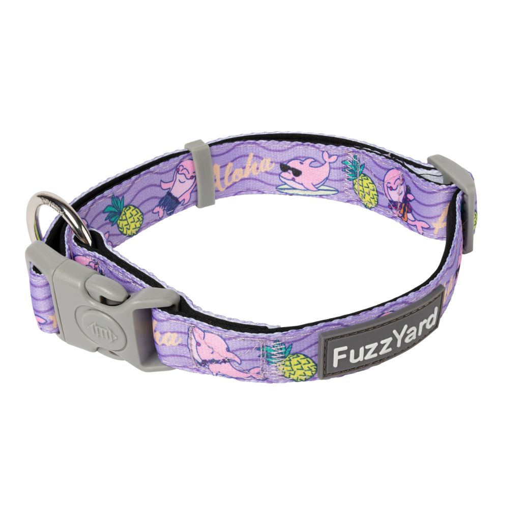 Aloha Dolphins - Collar para perros