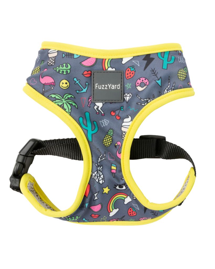 Coachella - Arnés petral para perros