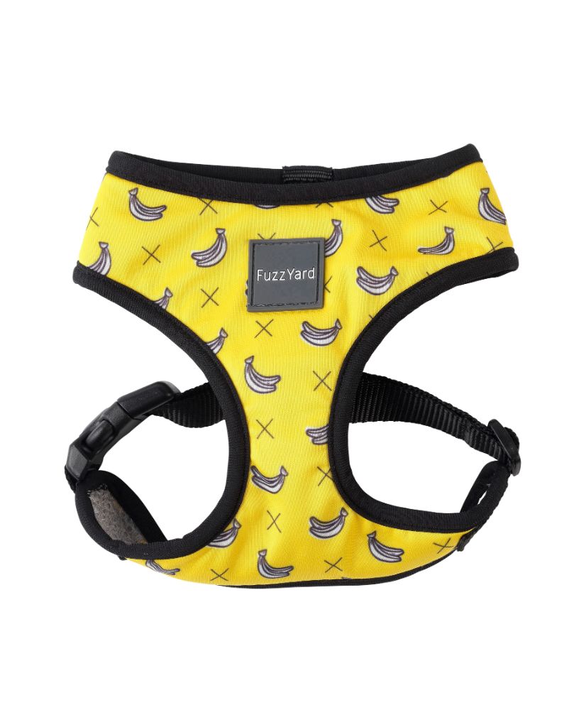 Monkey Mania - Arnés petral para perros