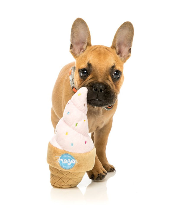 Ice Cream - Dog Toy