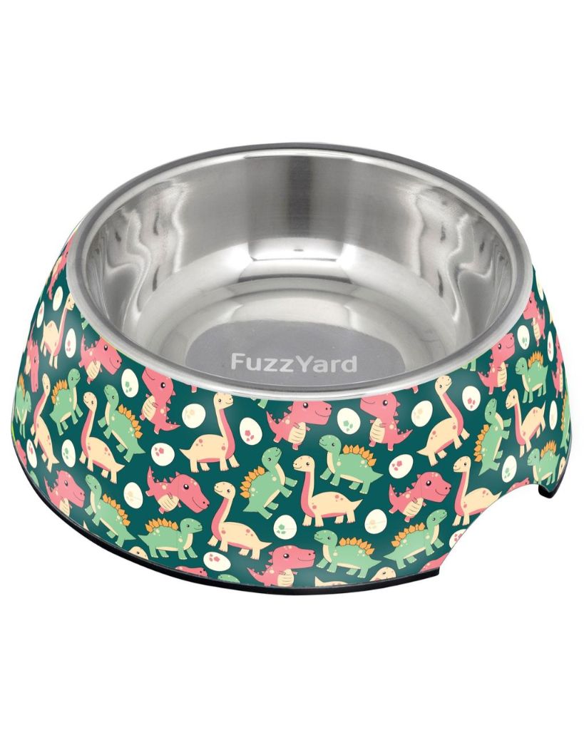 Dinosaur Land Easy Feeder Dog Bowl