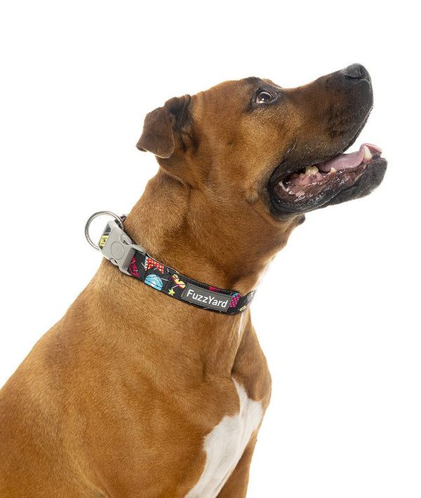 Bel Air - Collar para perros