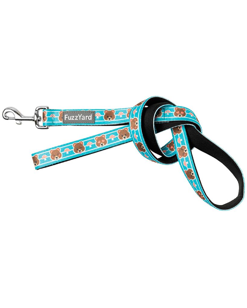 Fuzz Bear - Dog Leash