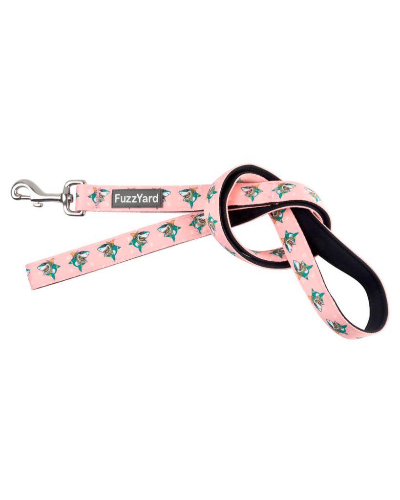 LL Cool Jaw$ - Dog Leash