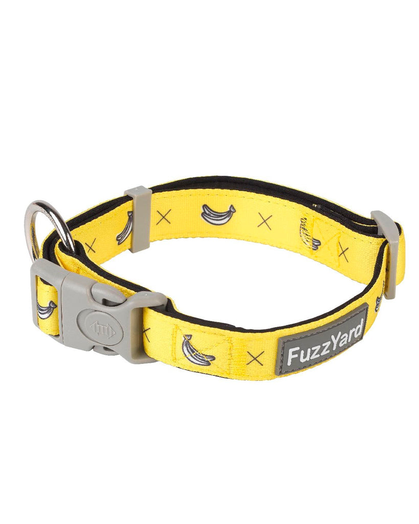 Monkey Mania - Collar para perros