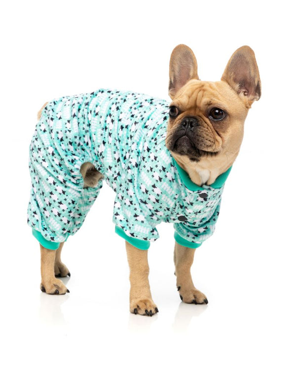 Dog Pyjama Dinosaur Land